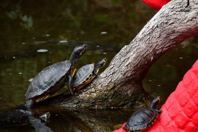 20150326 - Rome - 241